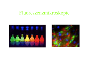 Fluoreszenzmikroskopie - Uni