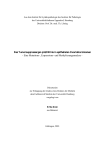 Das Tumorsuppressorgen p16/INK4a in epithelialen