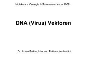 DNA (Virus) Vektoren