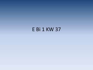 E Bi 1 KW 37