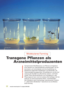 Transgene Pflanzen als Arzneimittelproduzenten