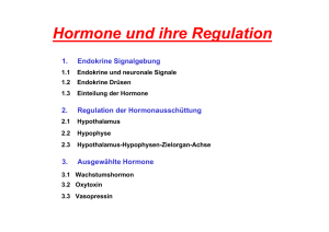Hormone und ihre Regulation