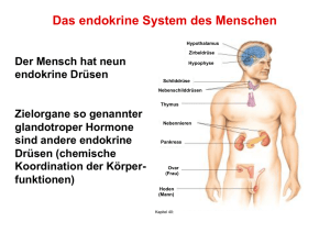 Das endokrine System des Menschen