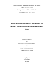 Humane Respiratory Syncytial Virus (RSV) Infektion und Persistenz