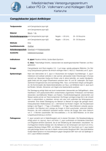 Campylobacter jejuni-Antikörper - MVZ Labor PD Dr. Volkmann und