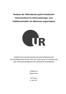 Analyse der Helicobacter pylori-induzierten Immunantwort im