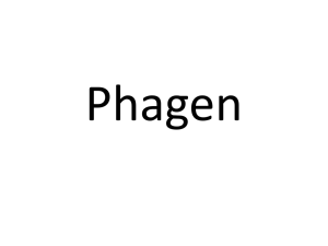 Phage DNA