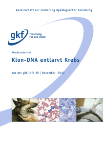 Klon-DNA entlarvt Krebs