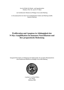 Proliferation und Apoptose in Abhängigkeit der N-Myc