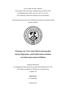 PDF-Volltext - Publikationsserver UB Marburg