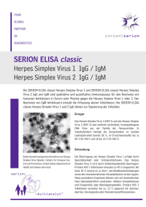 SERION ELISA classic Herpes Simplex Virus 1 IgG