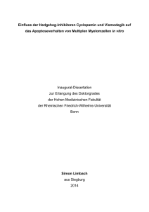 pdf-Dokument - Universität Bonn