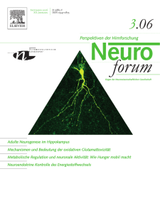 Adulte Neurogenese im Hippokampus Mechanismen und Bedeutung der