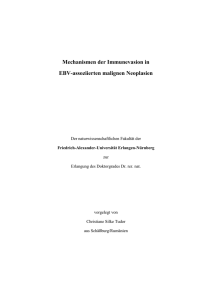 Mechanismen der Immunevasion in EBV