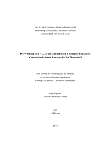 Die Wirkung von HU210 am Cannabinoid-1