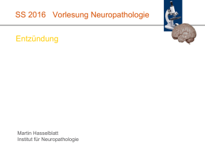 SS 2016 Vorlesung Neuropathologie Entzündung