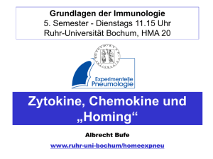 Zytokine, Chemokine und „Homing“ - Ruhr