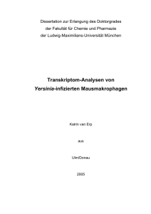 Transkriptom-Analysen von Yersinia