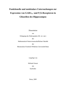 und P2X-Rezeptoren in Gliazellen des