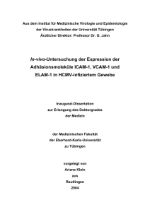 In-vivo-Untersuchung der Expression der Adhäsionsmoleküle ICAM