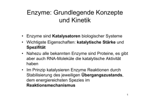 Enzyme: Grundlegende Konzepte und Kinetik