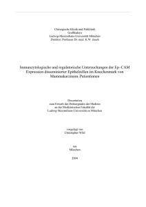 Immunzytologische und regulatorische Untersuchungen der Ep