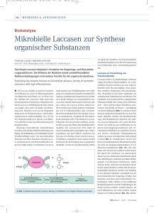 Mikrobielle Laccasen zur Synthese organischer Substanzen