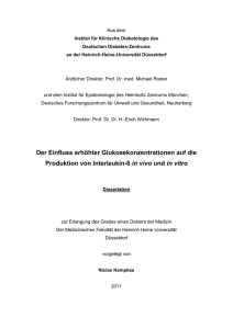 Der Einfluss erhöhter Glukosekonzentrationen auf die Produktion