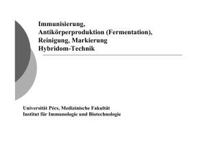 Immunisierung, Antikörperproduktion (Fermentation), Reinigung