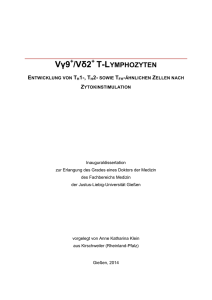Vgamma9+/Vdelta2+ T-Lymphozyten : Entwicklung von TH1