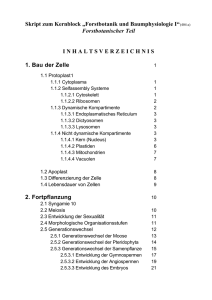 Skript zum Kernblock „Forstbotanik und Baumphysiologie I