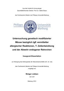 Untersuchung genetisch modifizierter Mäuse bezüglich IgE