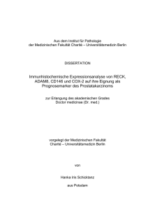 Immunhistochemische Expressionsanalyse von RECK, ADAM8