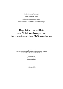 Regulation der mRNA von Toll-Like