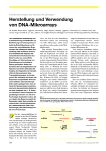 Herstellung und Verwendung von DNA