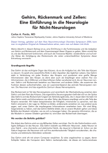 Neurologie von Dr. Pardo