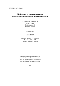 Modulation of immune responses by commensal - ETH E