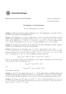 Institut für Geometrie und Topologie