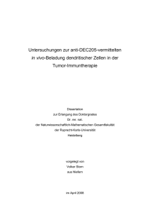 Untersuchungen zur anti-DEC205-vermittelten in vivo