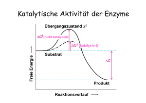 Katalytische Aktivität der Enzyme