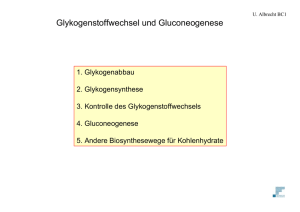 Glykogen
