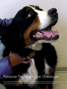 Palliative Therapie in der Onkologie