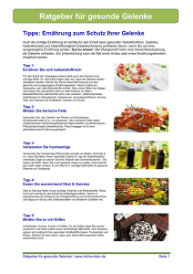 pdf Ernährungstipps