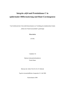 Integrin α6β4 und Proteinkinase C in epidermaler Differenzierung