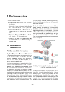 7 Das Nervensystem
