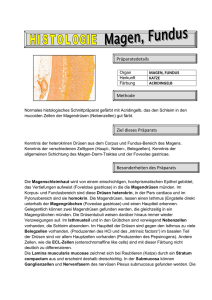 PDF - Histologie