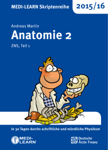 Anatomie 2 - Medi