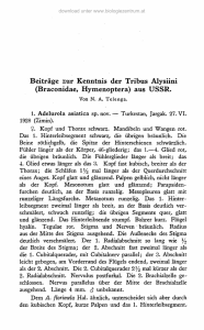 Beiträge zur Kenntnis der Tribus Alysiini (Braconidae