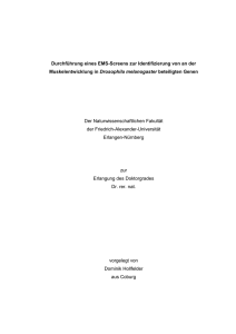 DominikHollfelderDissertation