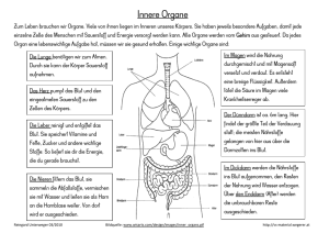 Innere Organe
